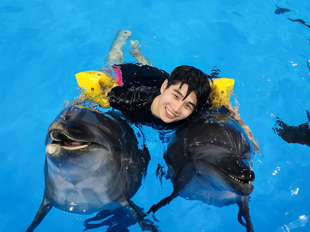 ว่ายน้ำและใกล้ชิดกับโลมาแบบสุด ๆ ได้ที่พัทยาดอลฟินาเรียม (Pattaya Dolphinarium) เท่านั้น