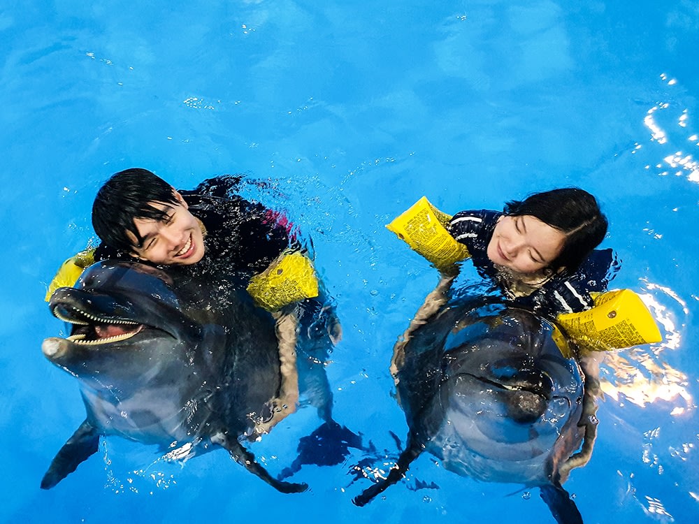 พาแฟนไปเดทแบบไม่ซ้ำใครที่พัทยาดอลฟินาเรียม (Pattaya Dolphinarium)