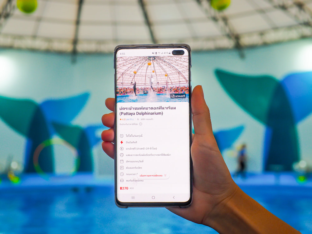 คุ้มยิ่งขึ้นเมื่อจองบัตรเข้าชมพัทยาดอลฟินาเรียม (Pattaya Dolphinarium) ผ่าน Klook