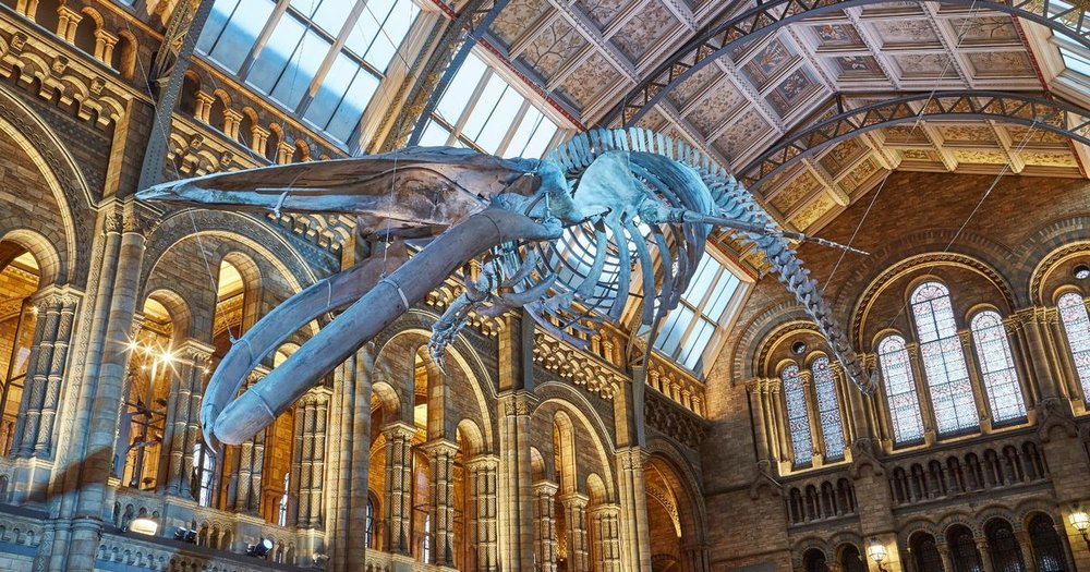 Natural History Museum London