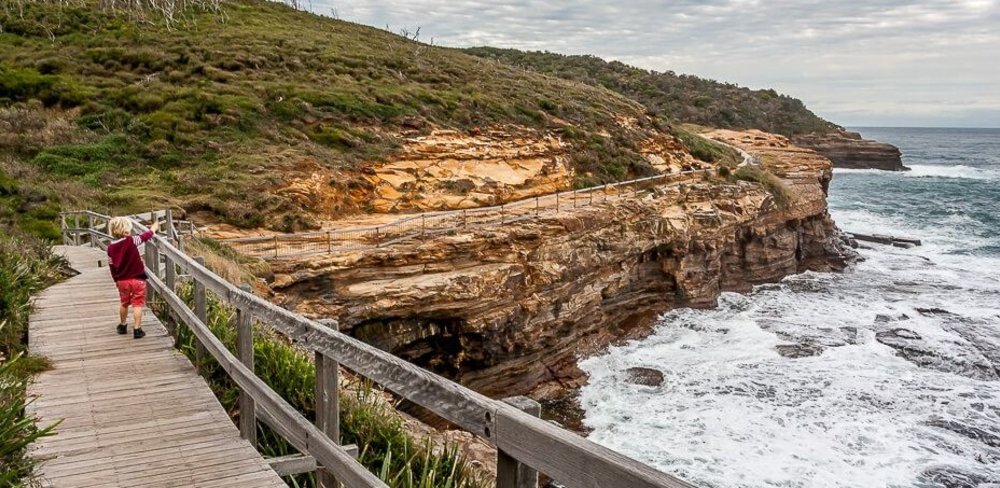 Image credits - iCentalCoast.com