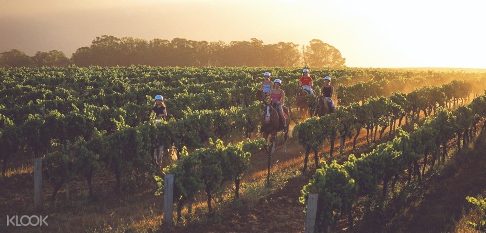 Amazing Things to Do in the Hunter Valley For Your Weekend Escape ...