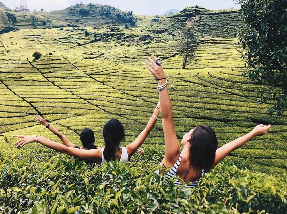 Kebun Teh Sukawana Bandung