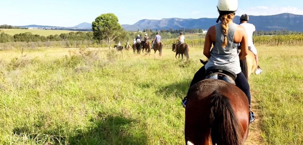 Horse Riding in the Hunter Valley through the Vines - All You Need to Know