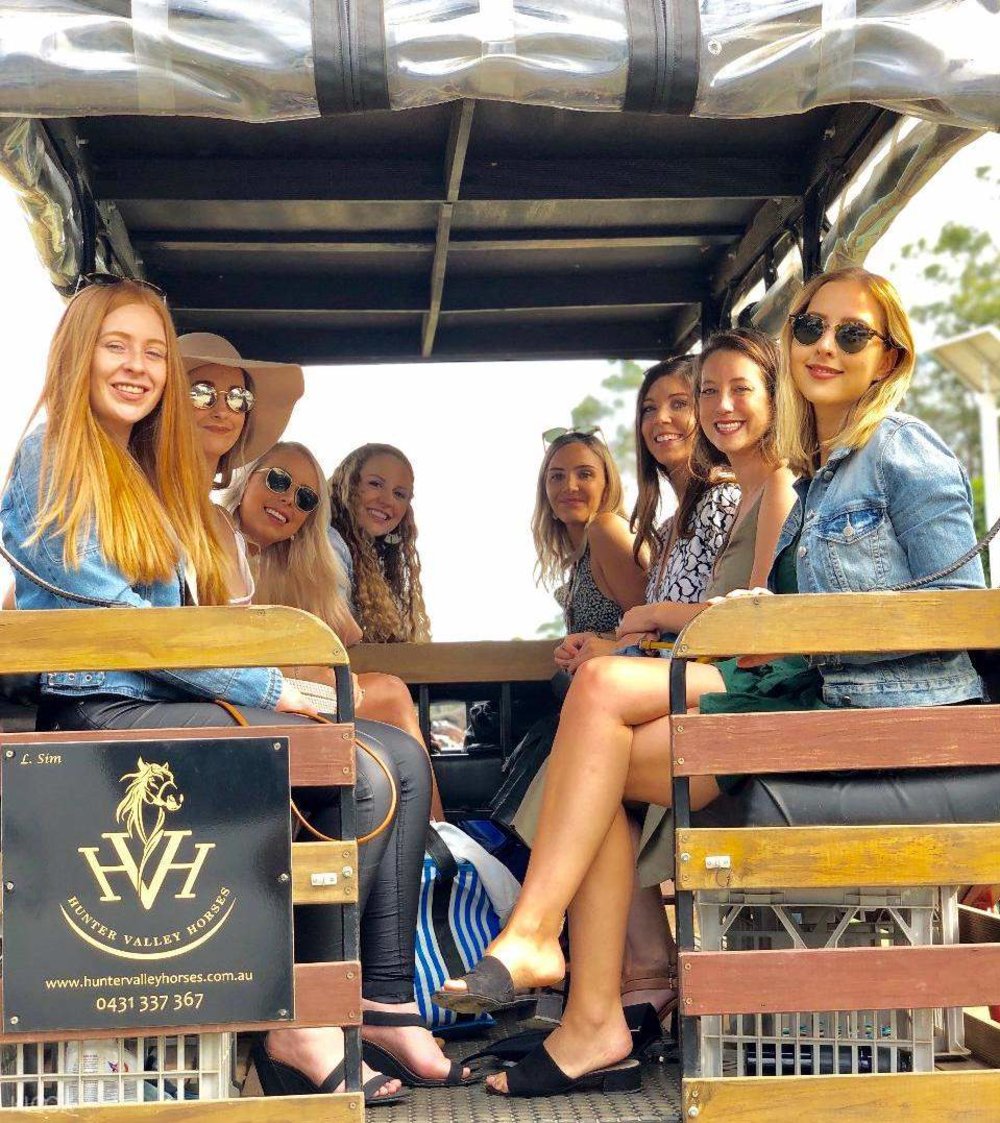 Horse Carriage Wine Tour with Lunch in Hunter Valley