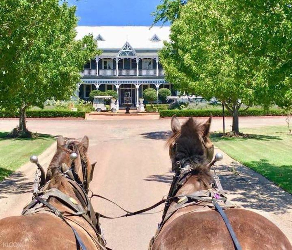 Private Couple's Horse and Carriage Wine Tour in Hunter Valley