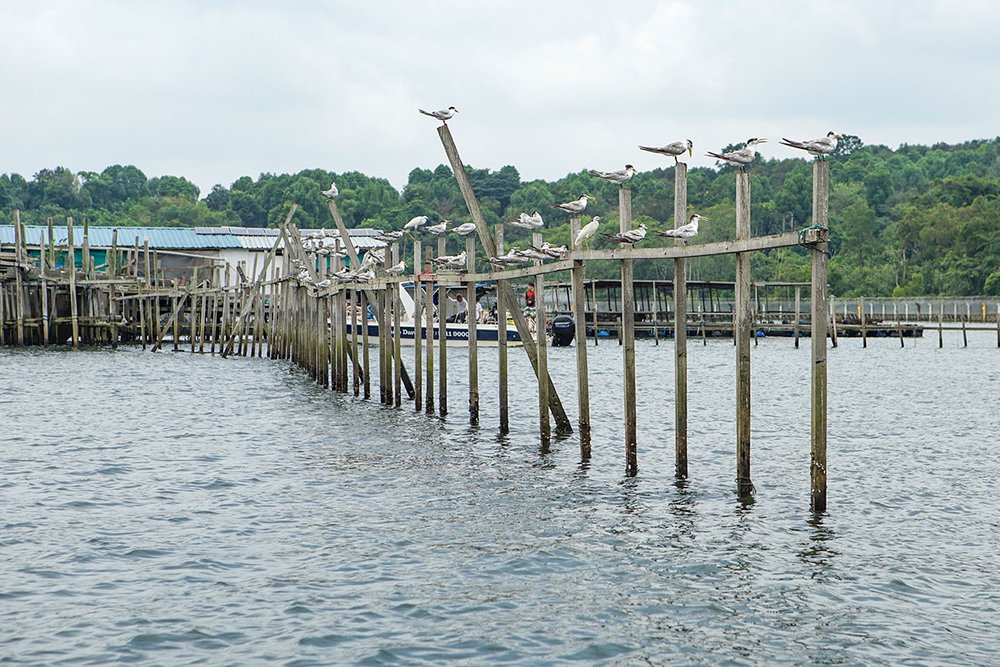SG Last Kelong Pulau Ubin & Kelong Private Boat Tour