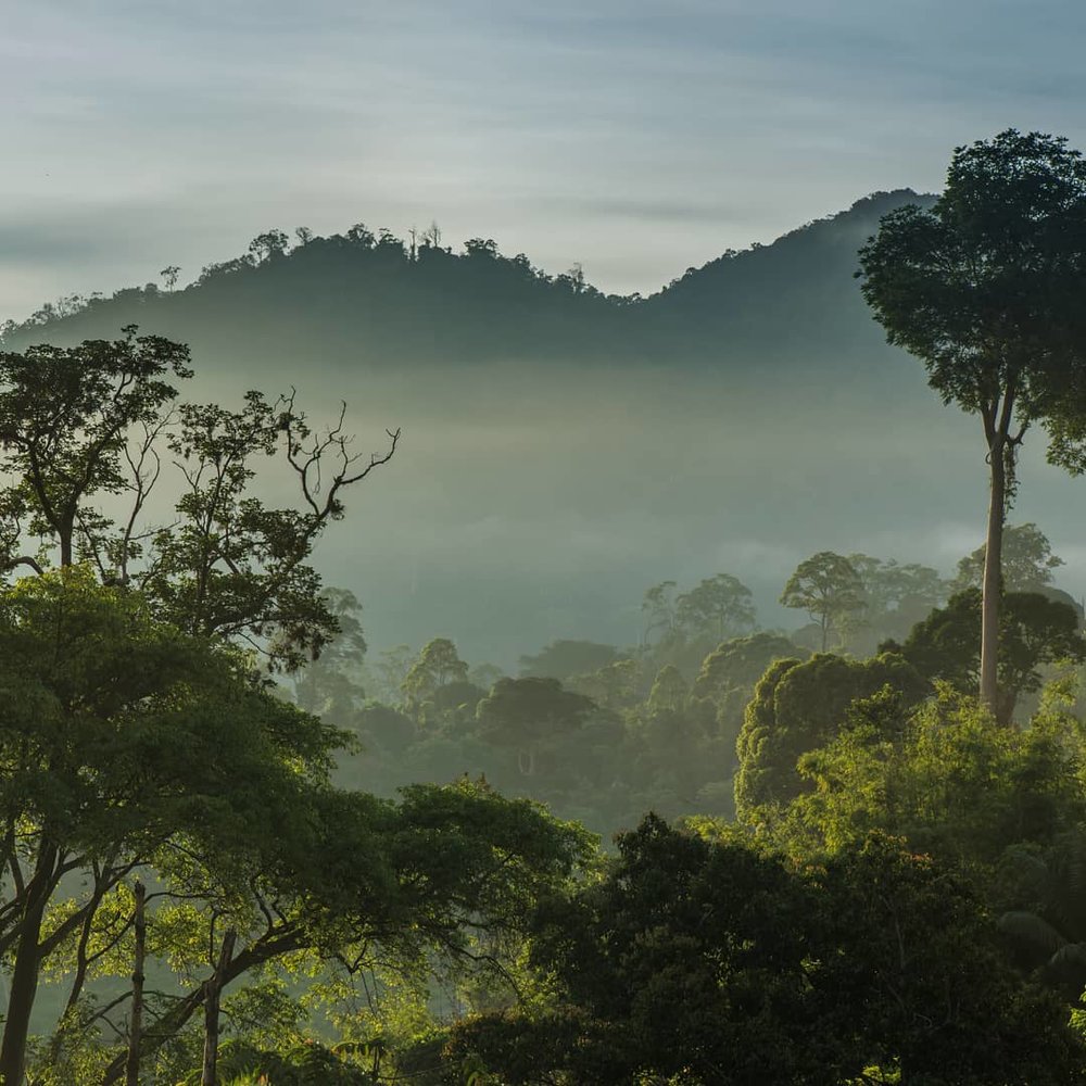 rest pause rainforest retreat bentong janda baik pahang