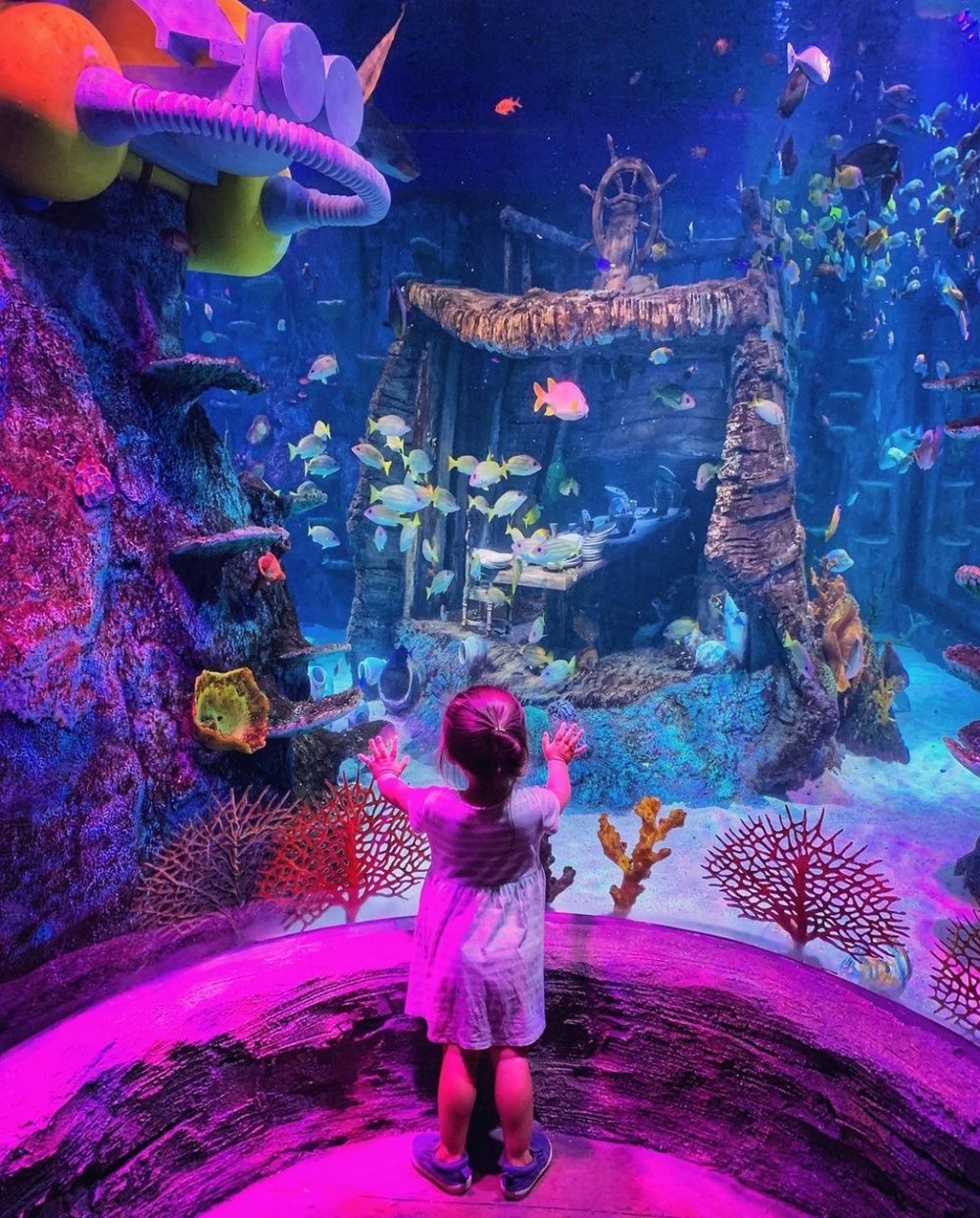 legoland malaysia johor theme park photo spots