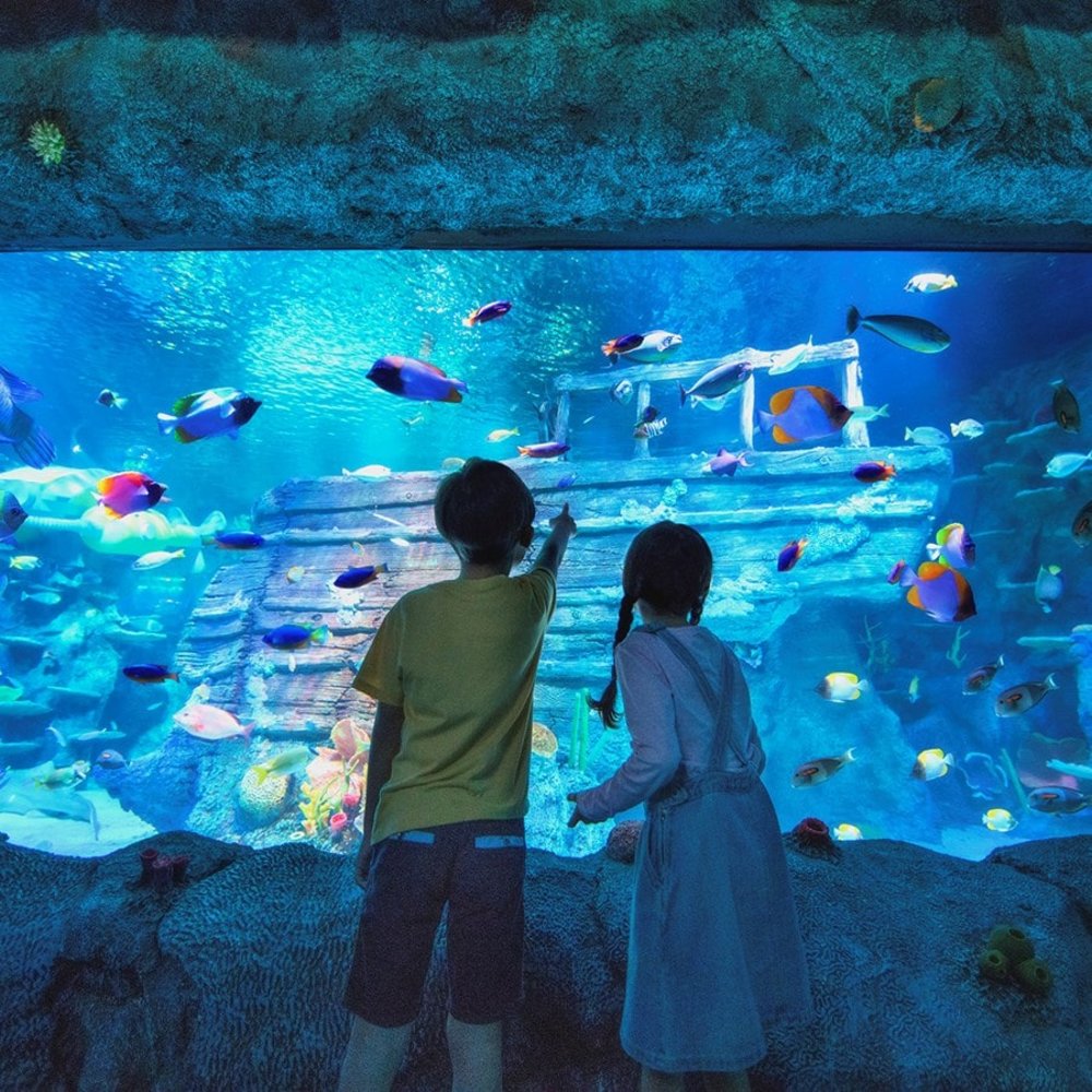 legoland malaysia johor theme park photo spots sea life