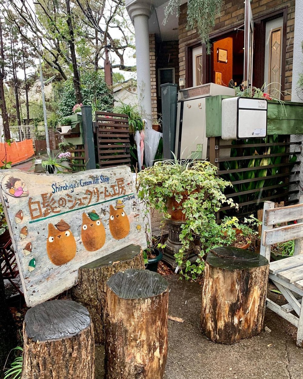 totoro cream puffs japan
