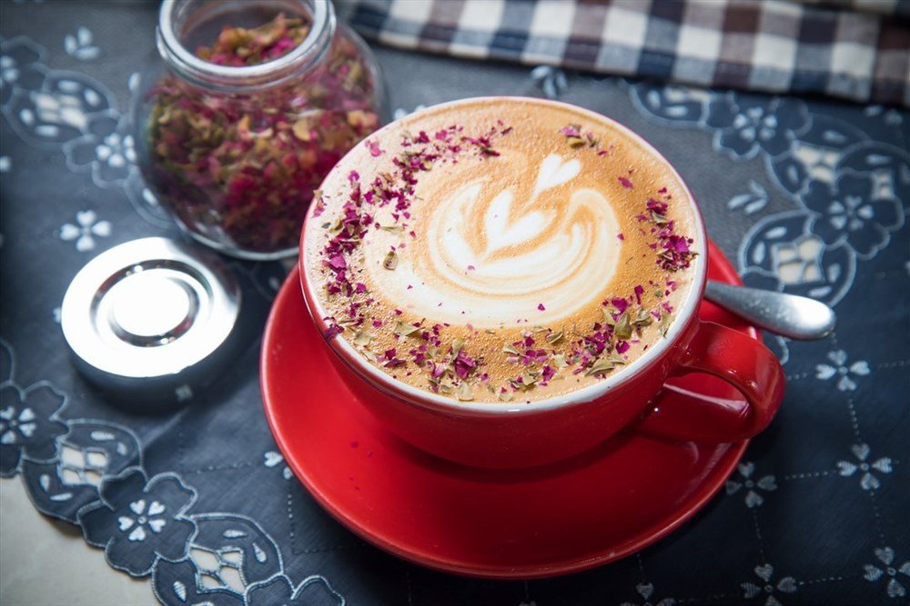 Zenon Café 咖啡優惠