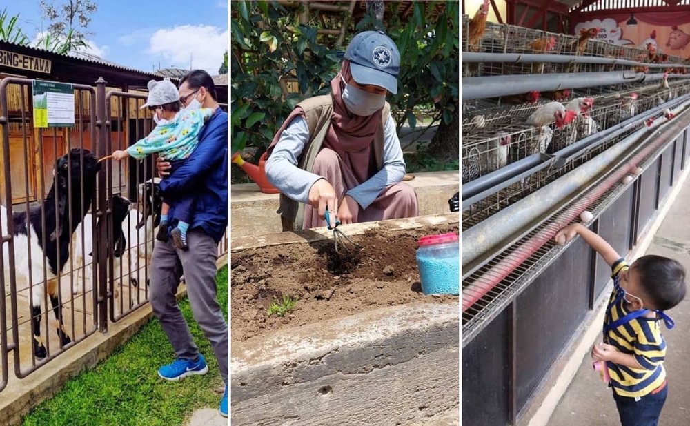 Aktivitas edukasi di Jendela Alam Lembang