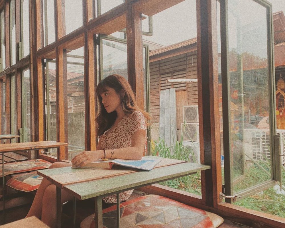 library bookstore little giraffe