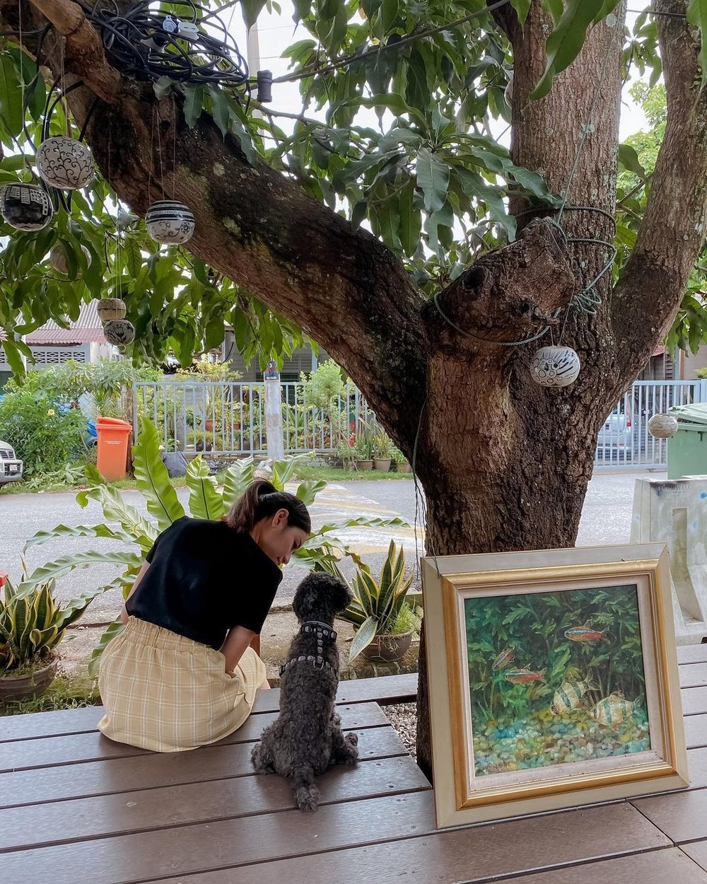 library bookstore little giraffe book club cheras