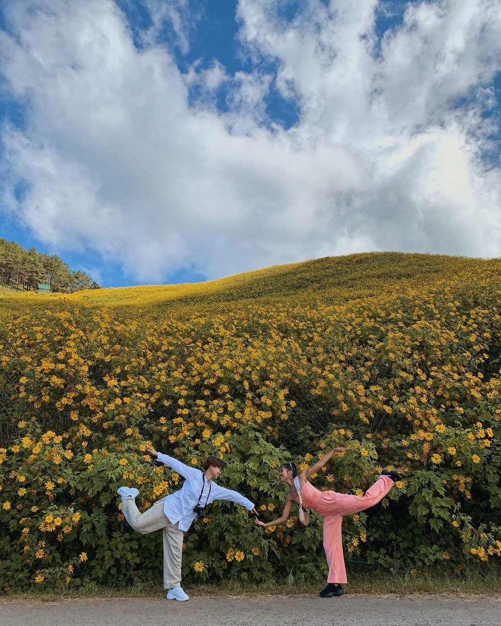 สวนดอกไม้ เชียงใหม่ ภาคเหนือ ดอยแม่อูคอ