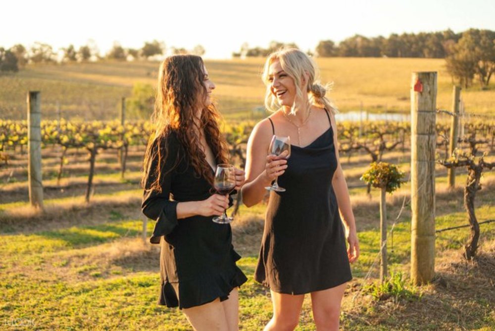 How to Do the Hunter Valley - the Best Wineries, Wine Tours and Things ...