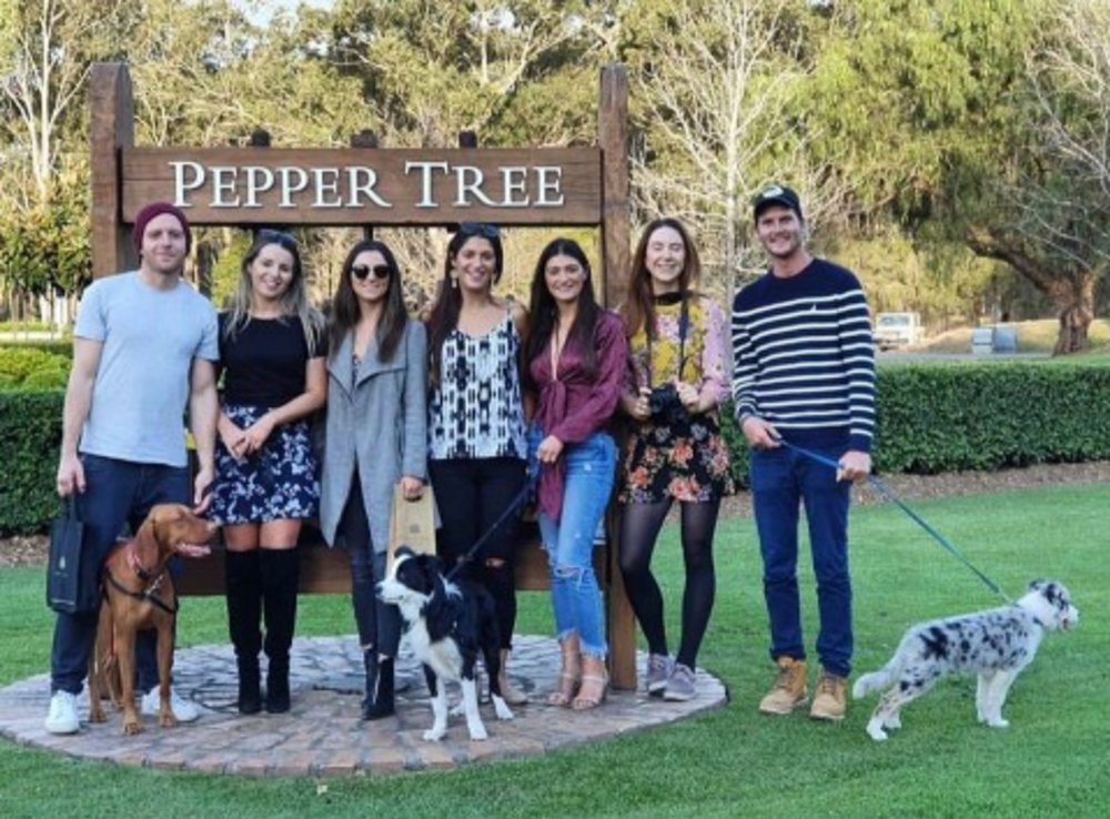 puppies in the hunter valley