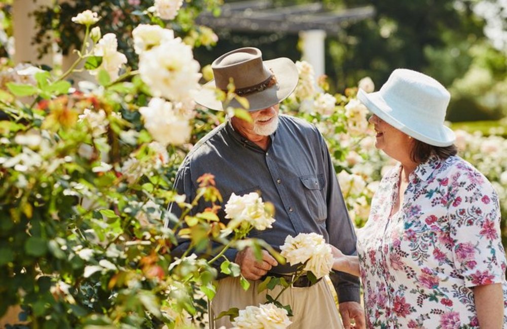hunter valley gardens
