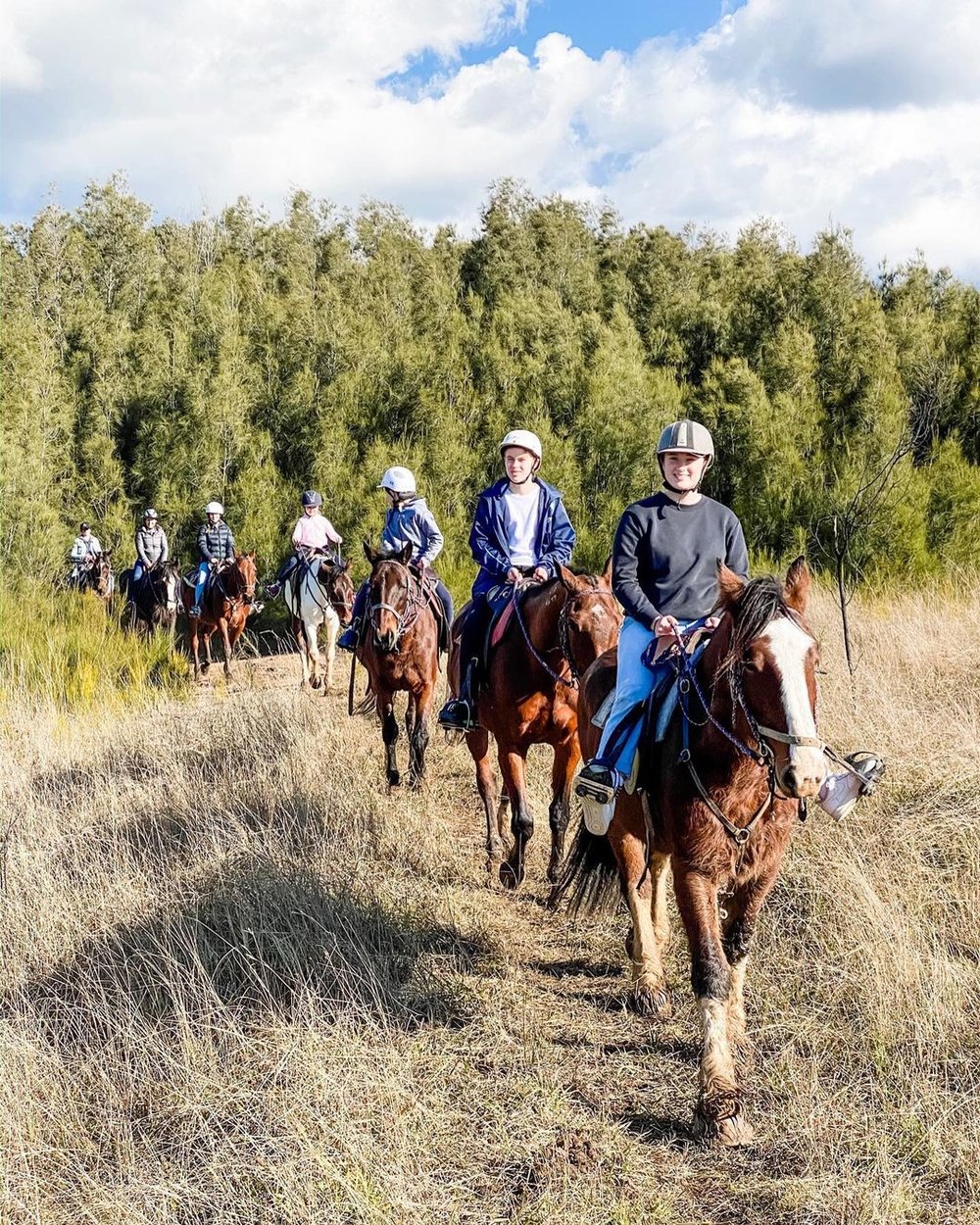 horse riding hunter valley