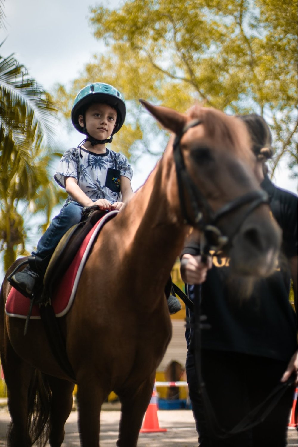Gallop Kranji Farm Resort