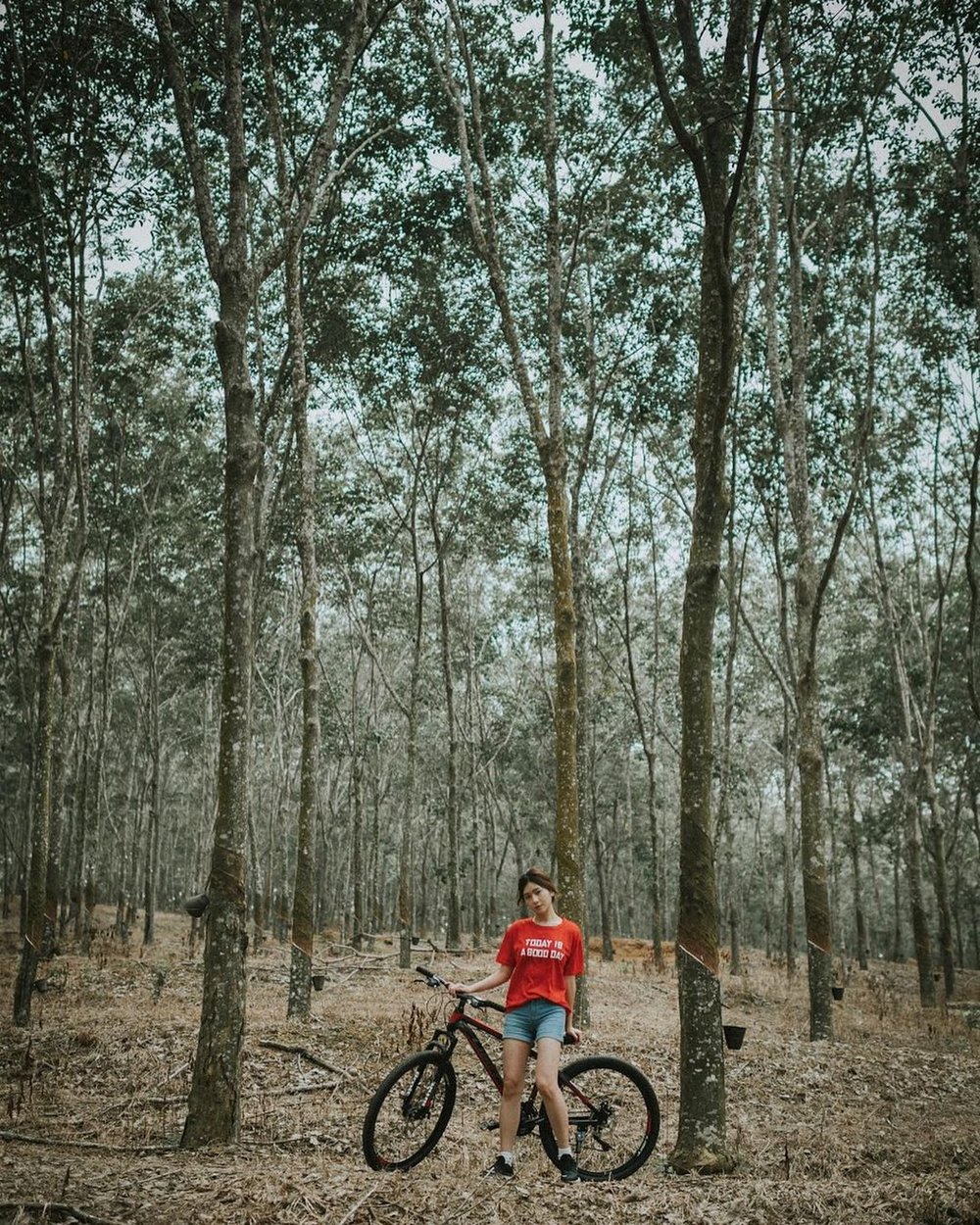 rubber escape nature retreat melaka