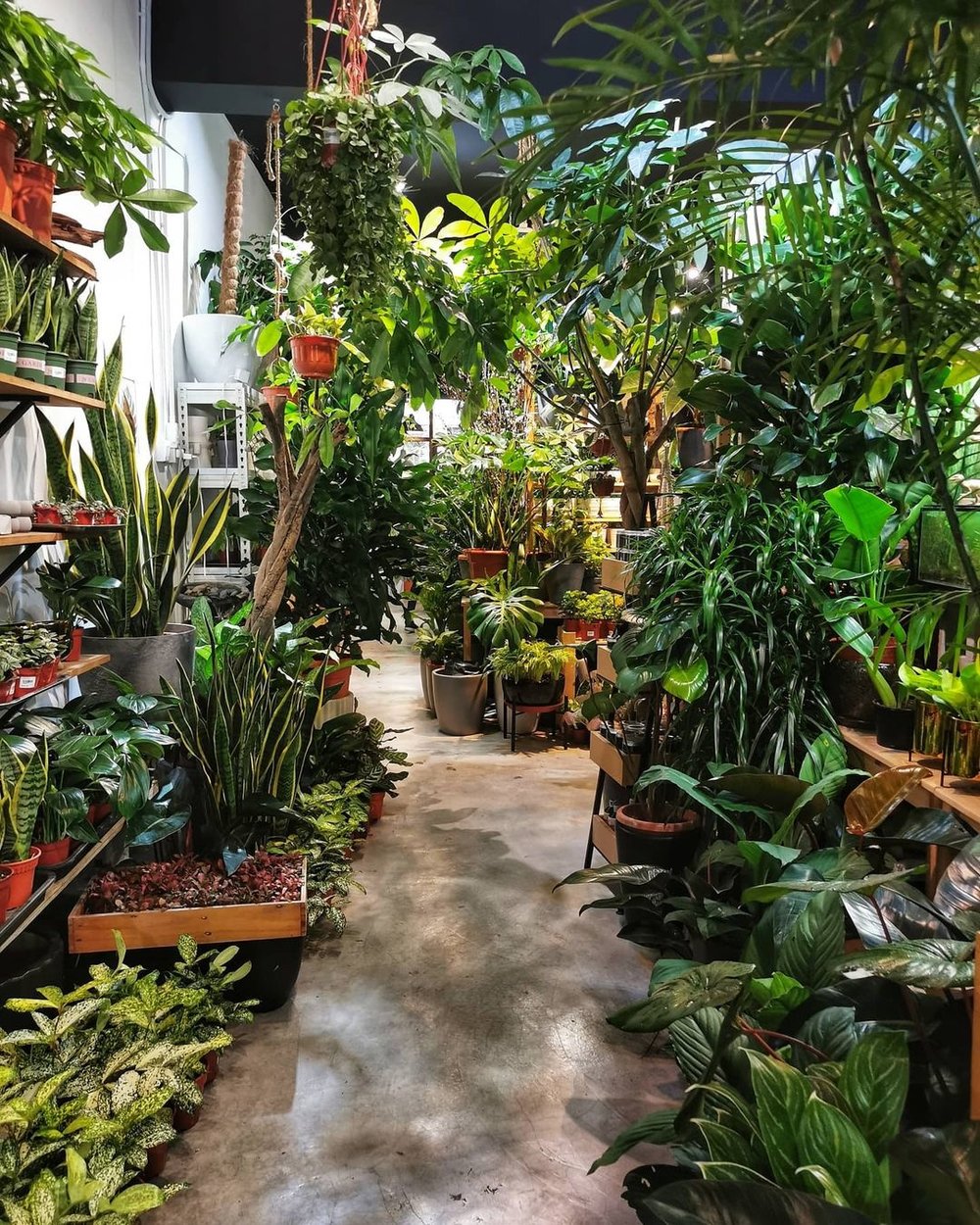 plant and pot studio ampang cafe