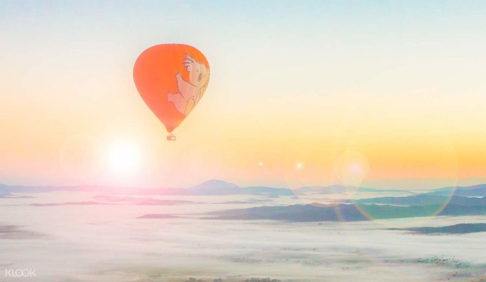 hot air balloon in cairns koala