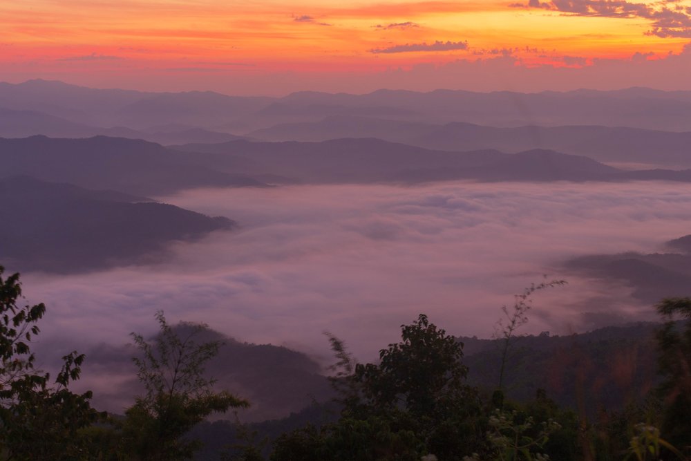 เที่ยวทะเลหมอก ดอยเสมอดาว