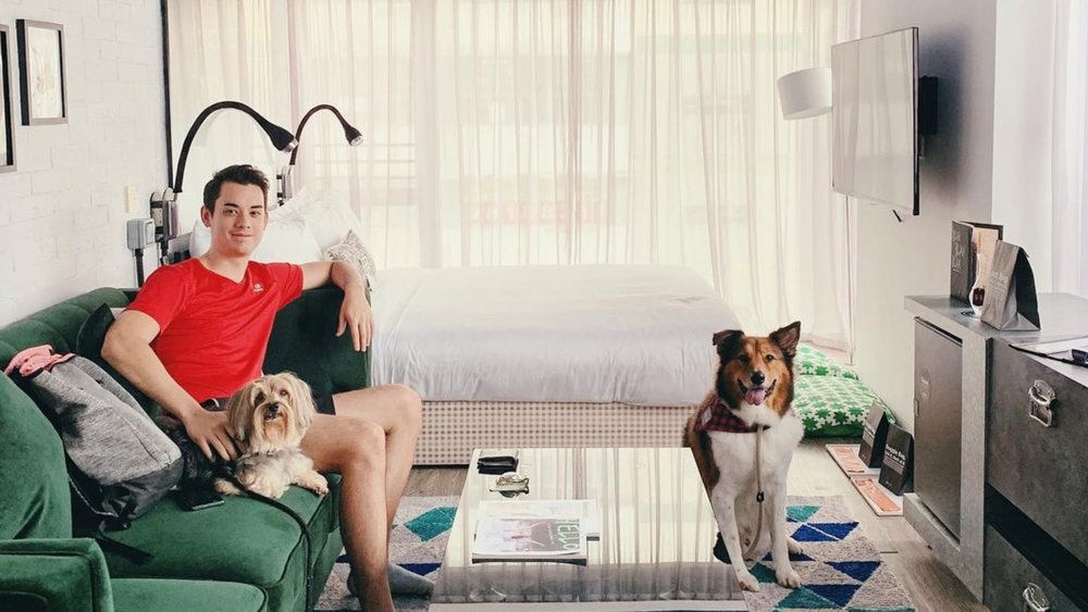 Image credits - @batnat on IG