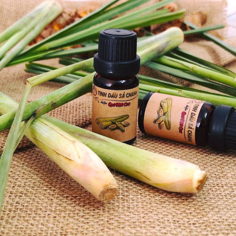 goi-dau-duong-sinh-o-dau