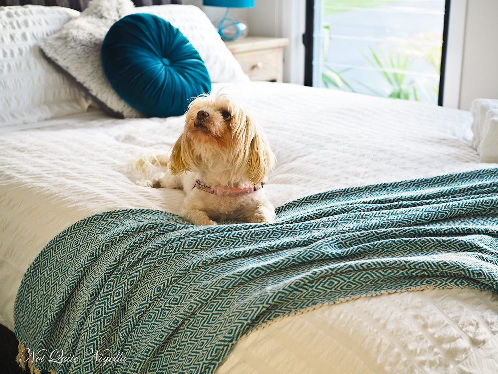 Image credit: Not Quite Nigella