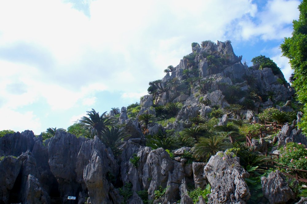 【Cコース】クイナの森とマングローブ林・大石林山を巡る、やんばる国立公園自然満喫コース