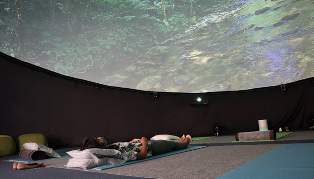 やんばるの森ビジターセンター ドームシアター