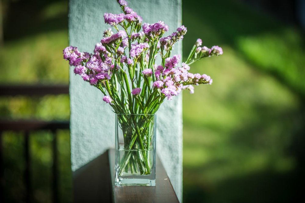 rest pause rainforest retreat janda baik pahang