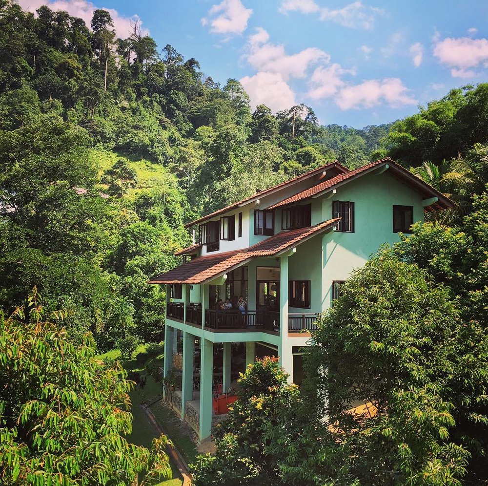 rest pause rainforest retreat janda baik pahang