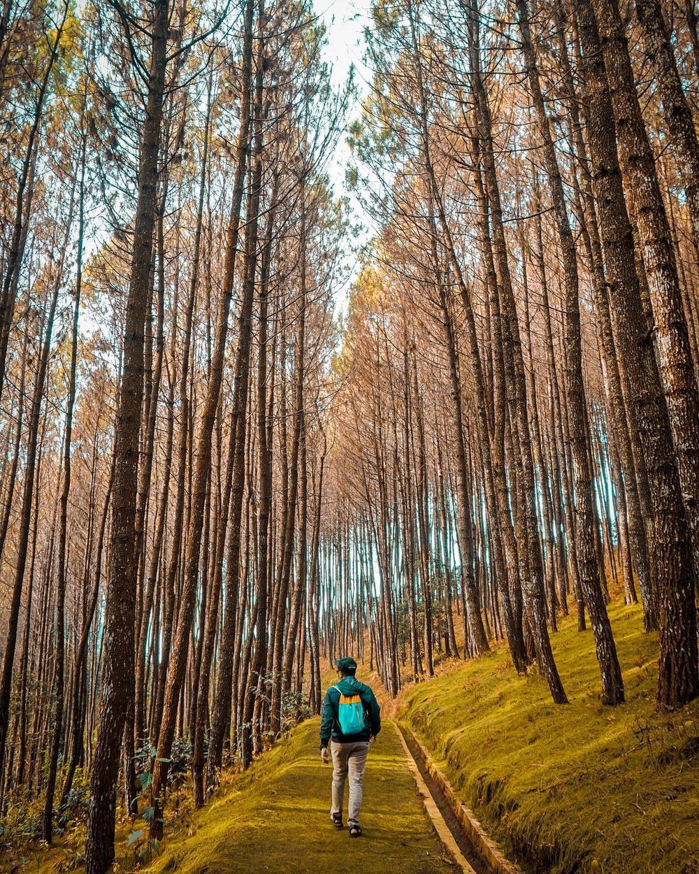 Bukit Moko Bandung - @rvanmy