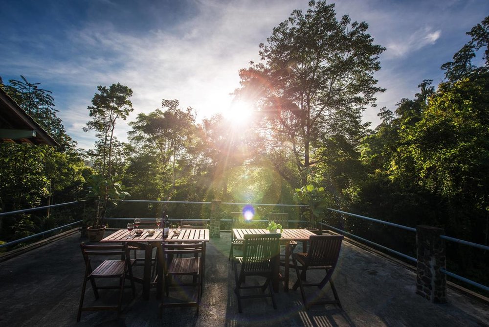 rest pause rainforest retreat janda baik pahang