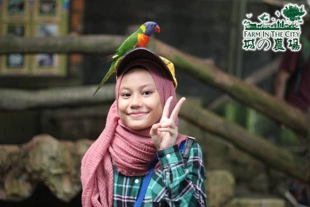 farm in the city petting zoo kl