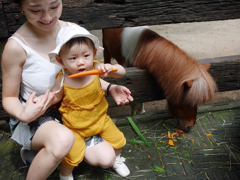 farm in the city petting zoo kl