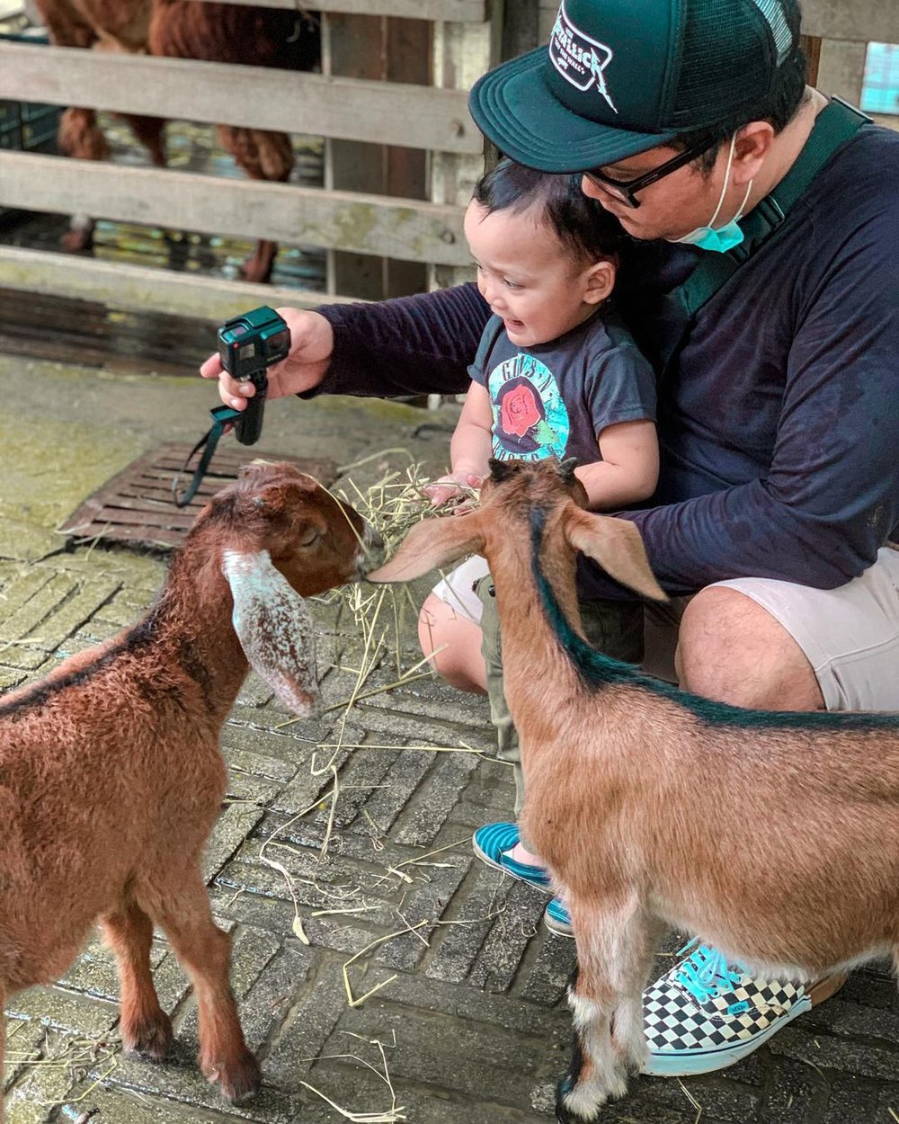 farm in the city petting zoo kl