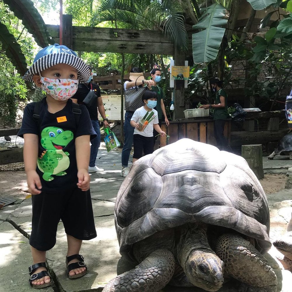 farm in the city seri kembangan kl malaysia zoo