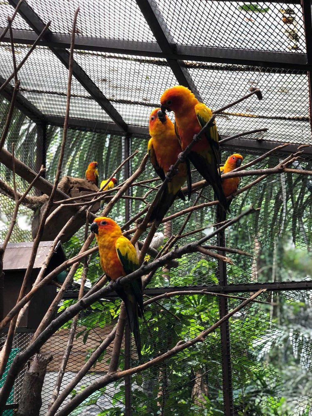 farm in the city seri kembangan kl malaysia zoo