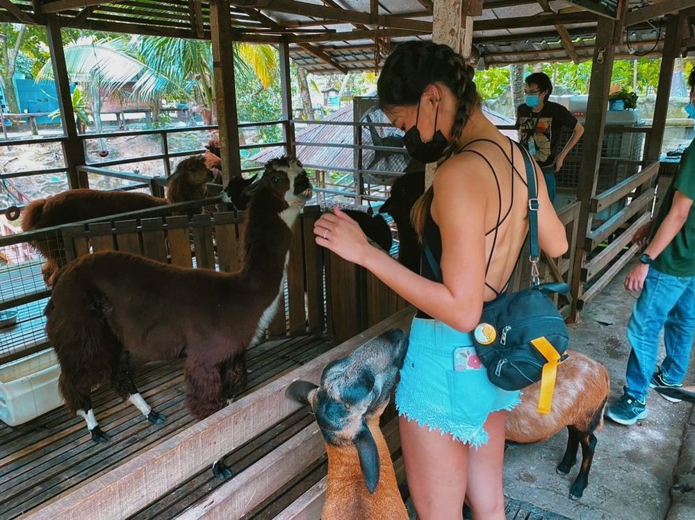 farm in the city seri kembangan kl malaysia zoo