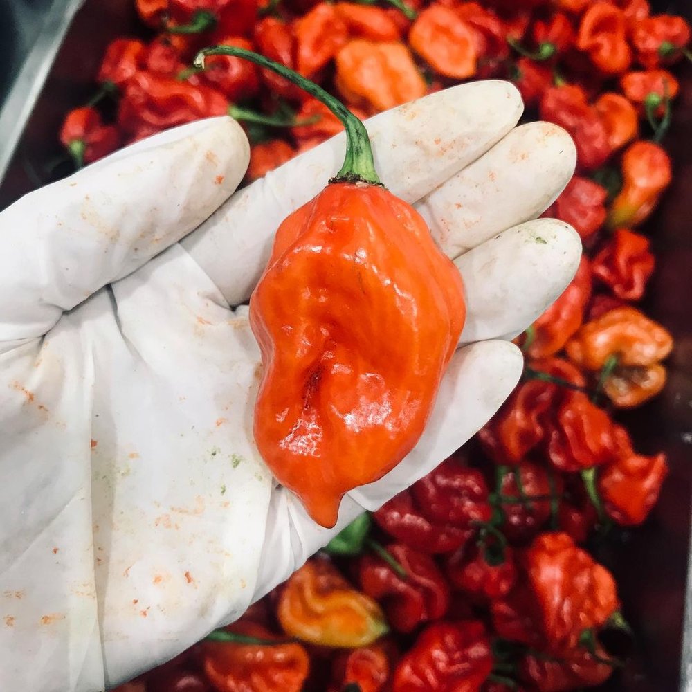 salt and pepper restaurant spicy burger kl