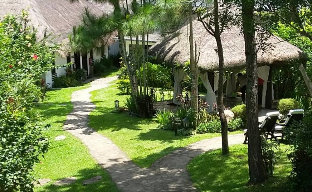 nurture wellness village