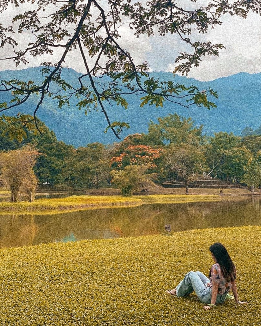 Taiping Lake Gardens