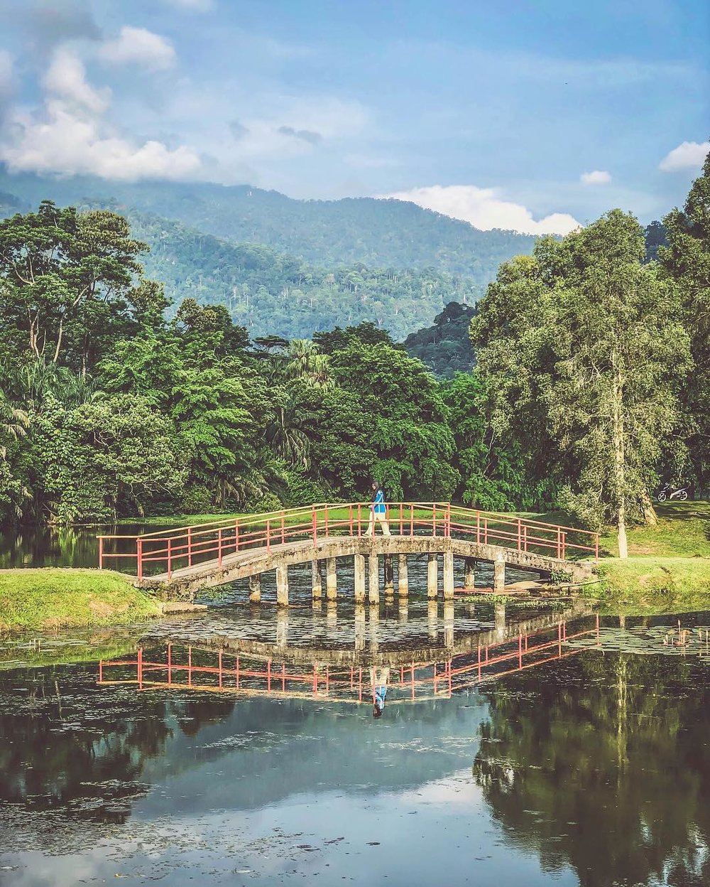 Taiping Lake Gardens