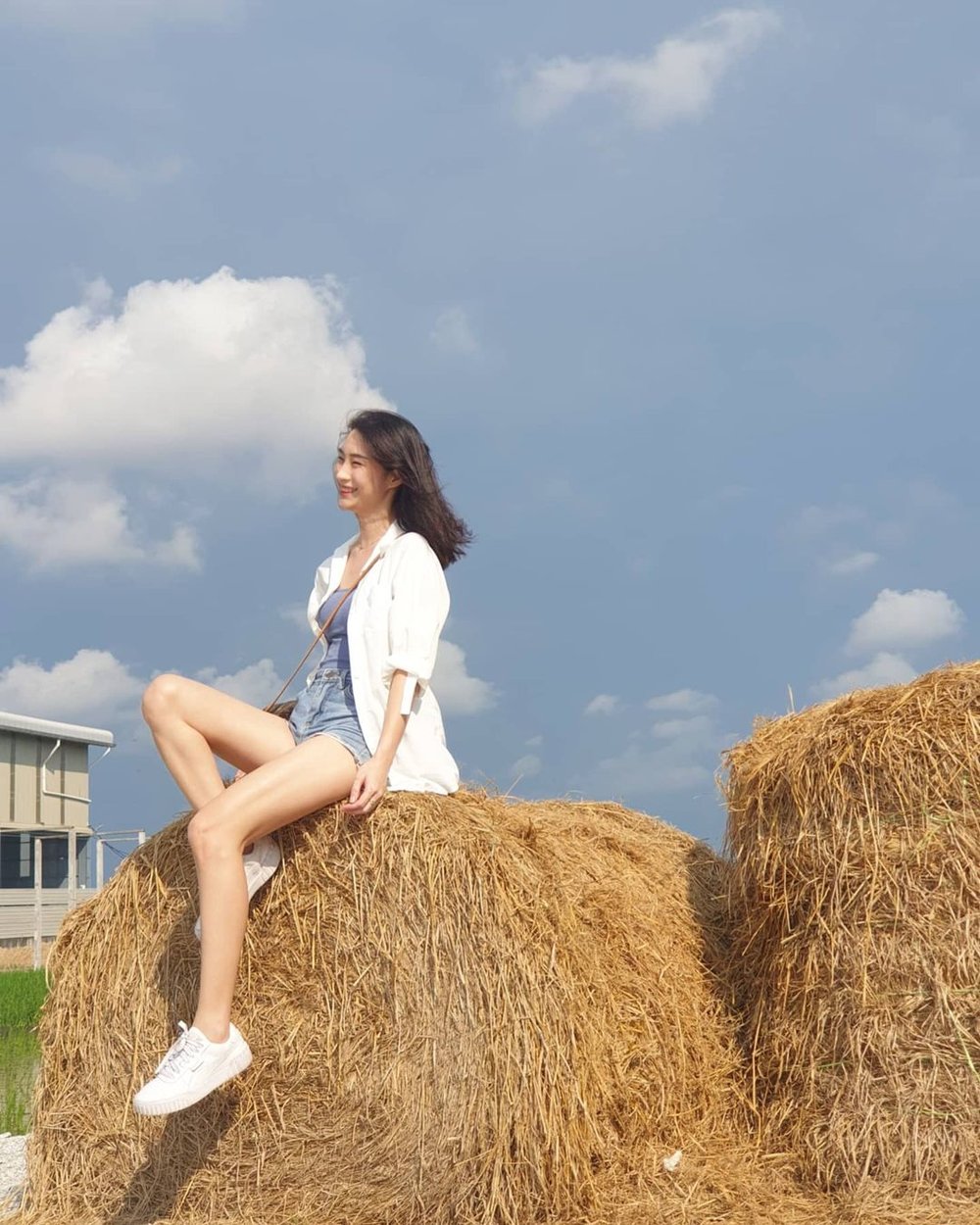 sekinchan paddy fields