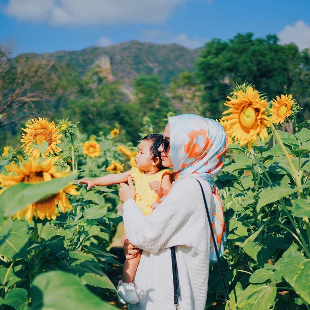 Snake And Reptile Farm kangar perlis malaysia